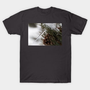 March Freeze T-Shirt